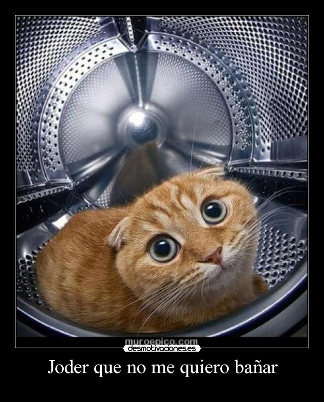 carteles joder que quiero banar desmotivaciones