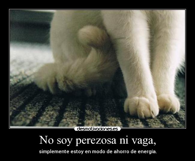 No soy perezosa ni vaga, - simplemente estoy en modo de ahorro de energía.