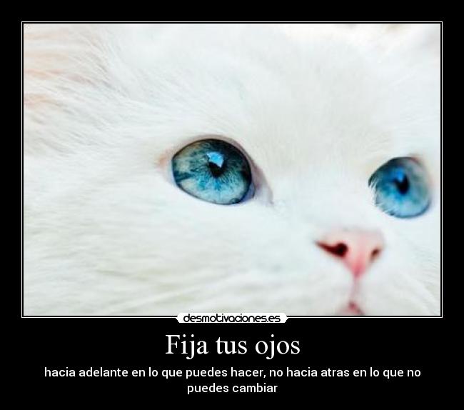 carteles irenelaquevayviene desmotivaciones