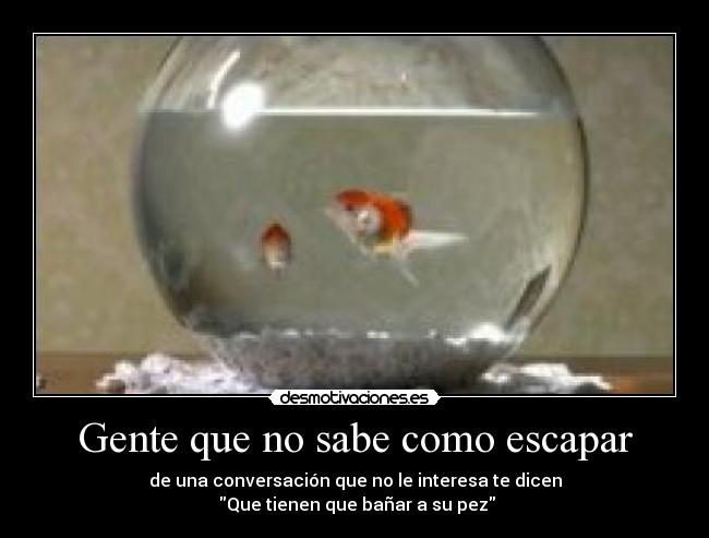 Gente que no sabe como escapar -
