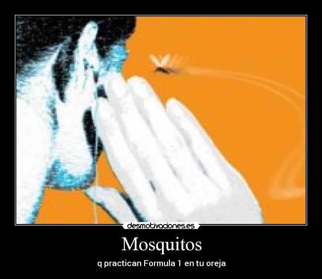 Mosquitos - q practican Formula 1 en tu oreja