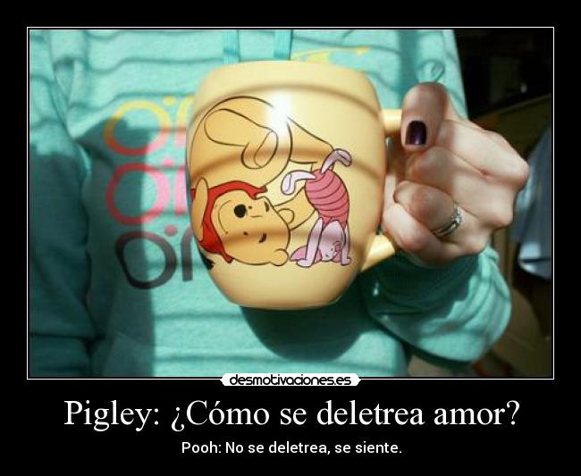 Pigley: ¿Cómo se deletrea amor? -