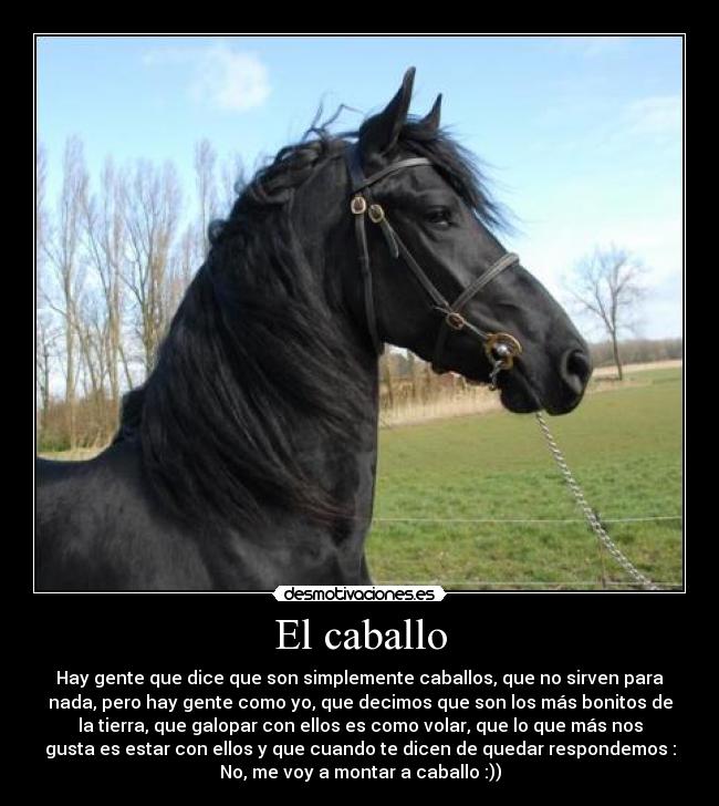 El caballo -