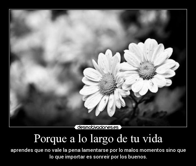 Porque a lo largo de tu vida -