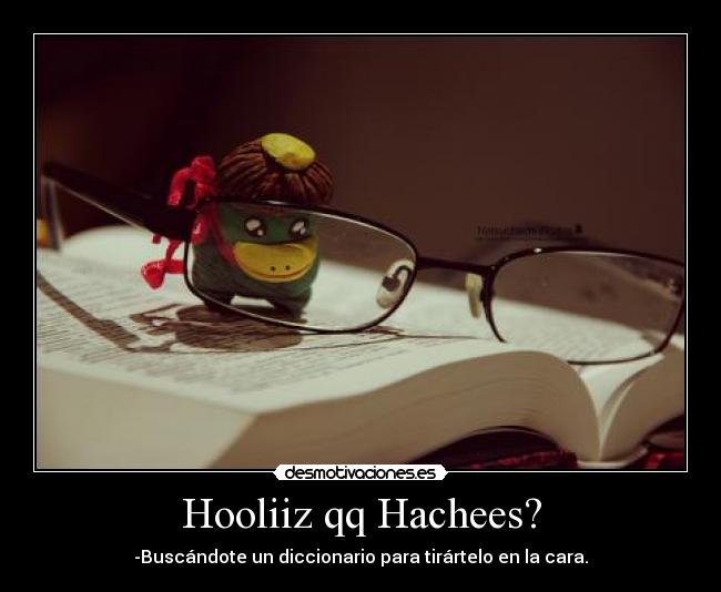 Hooliiz qq Hachees? - 