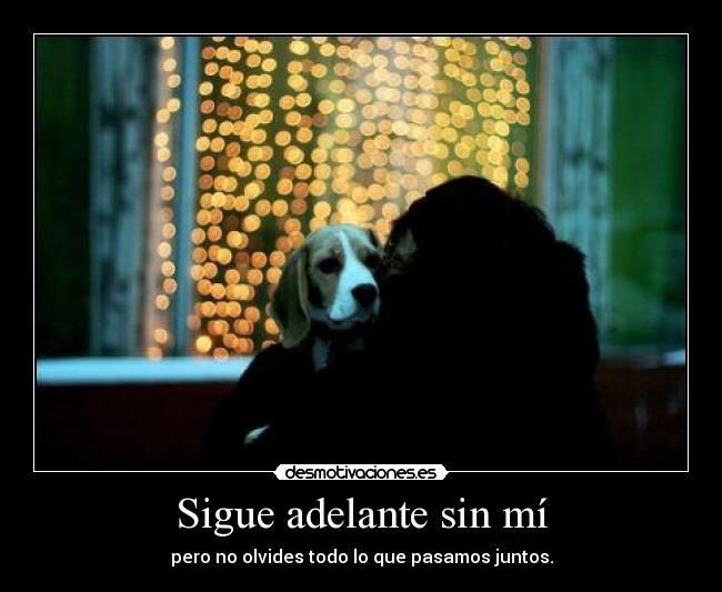 Sigue adelante sin mí - 