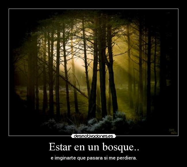 Estar en un bosque.. - 