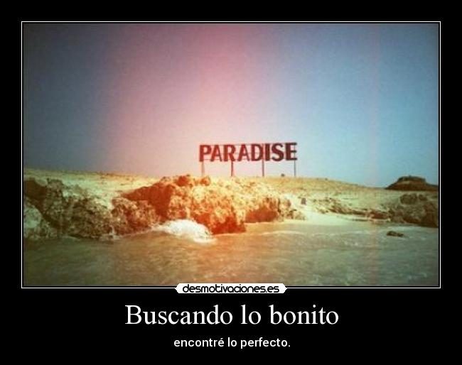 Buscando lo bonito - encontré lo perfecto.