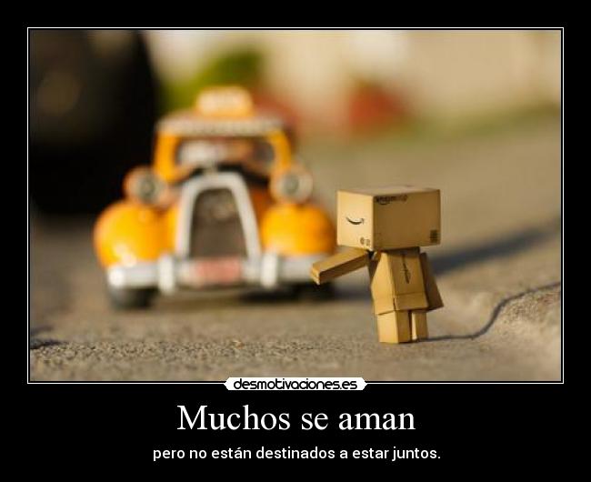 Muchos se aman - 