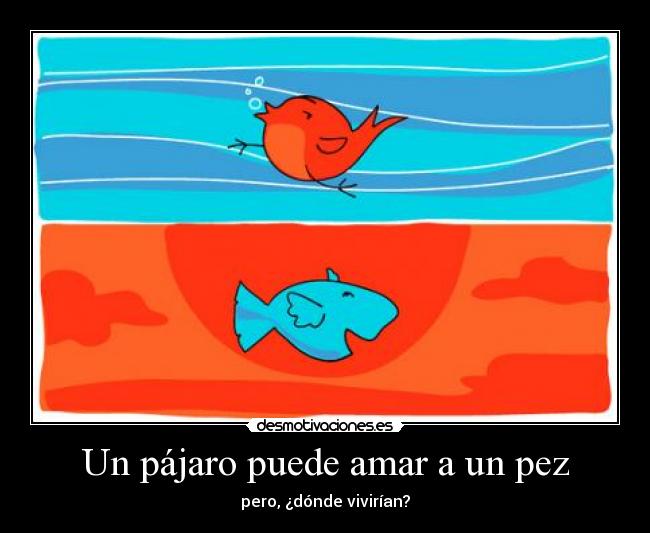 Un pájaro puede amar a un pez - pero, ¿dónde vivirían?