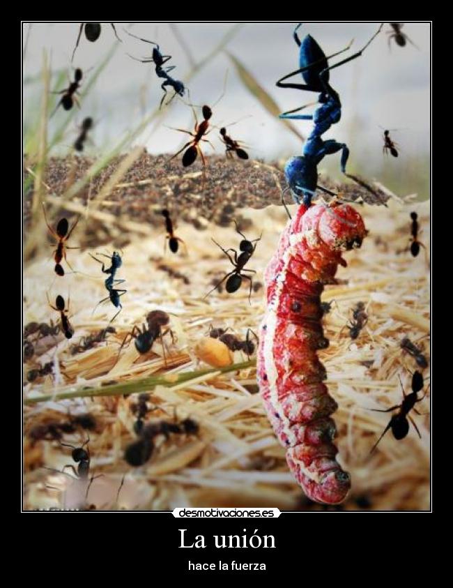 La unión -