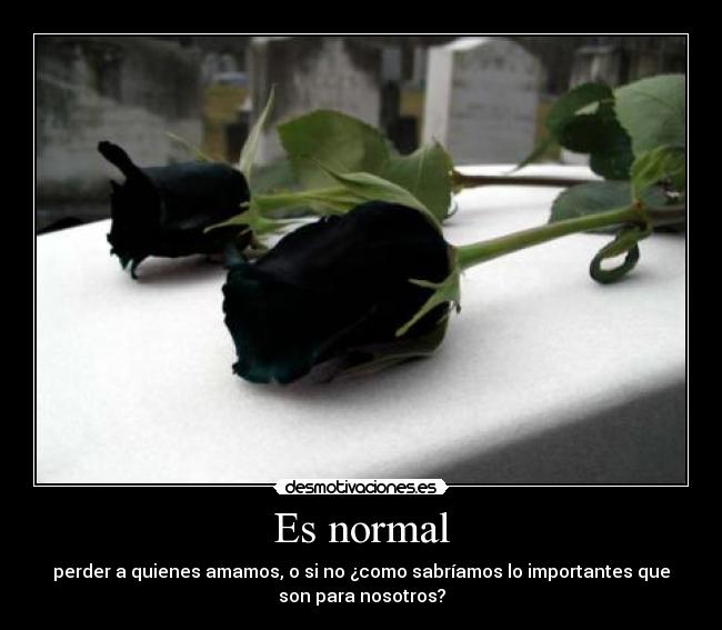 Es normal - perder a quienes amamos, o si no ¿como sabríamos lo importantes que
son para nosotros?