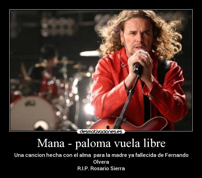 Mana - paloma vuela libre - 