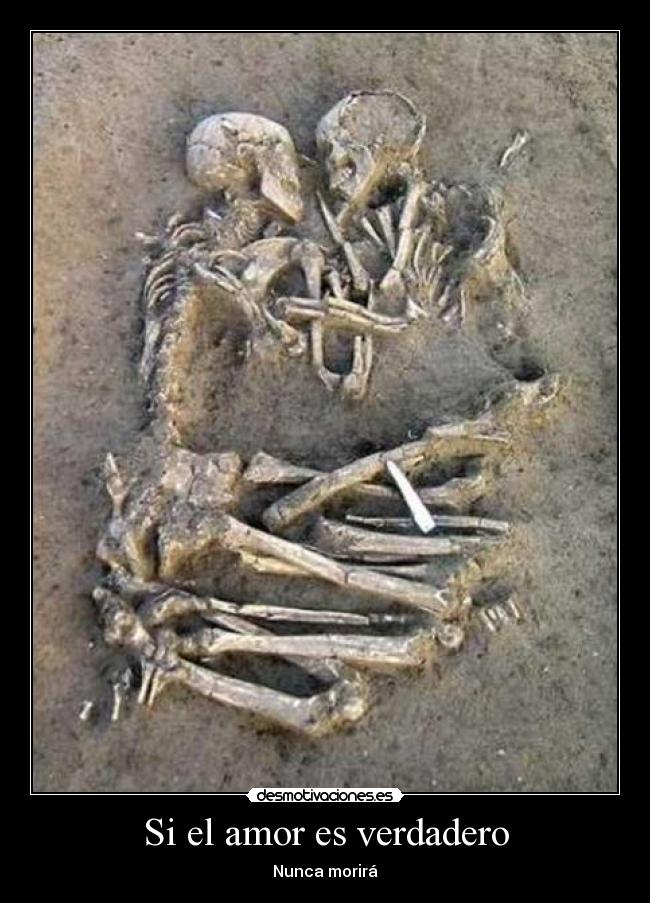 Si el amor es verdadero -