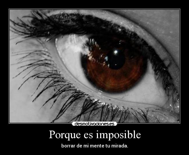 Porque es imposible - 