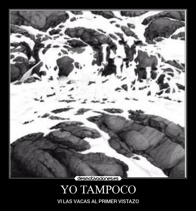 YO TAMPOCO - 