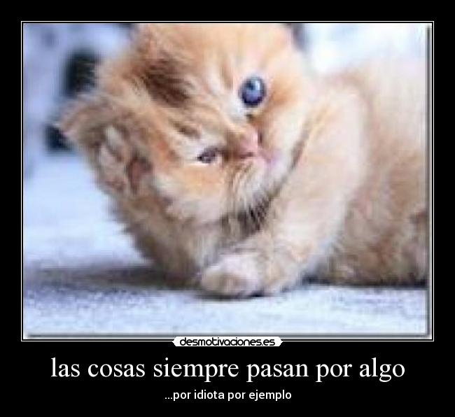 las cosas siempre pasan por algo - 