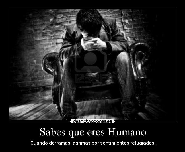 Sabes que eres Humano - 