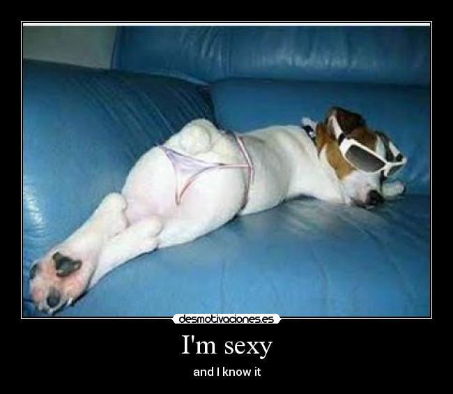 Im sexy - 