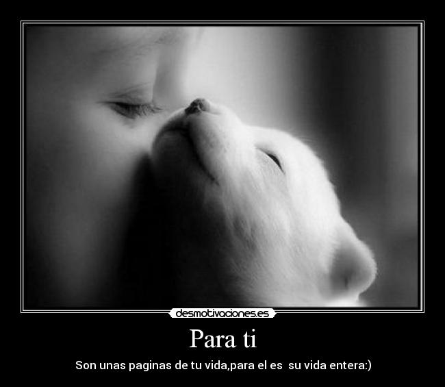 carteles zezee desmotivaciones