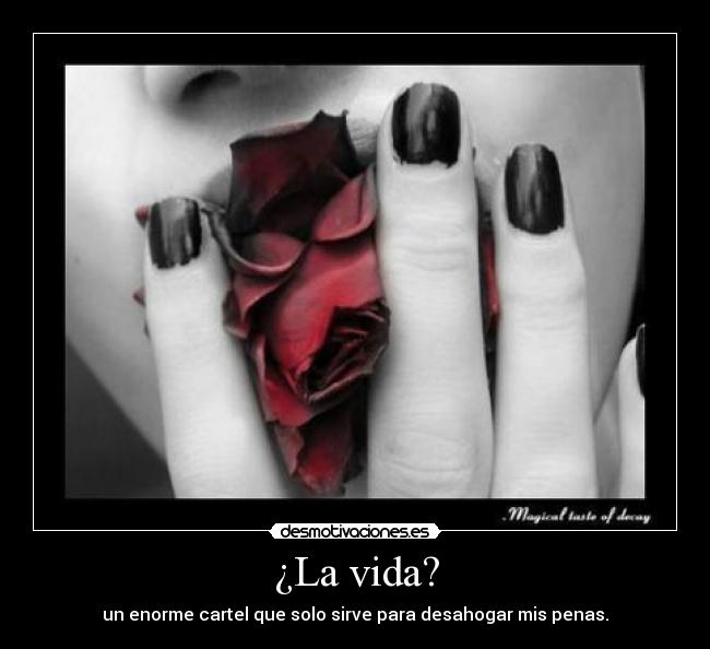 ¿La vida? - 