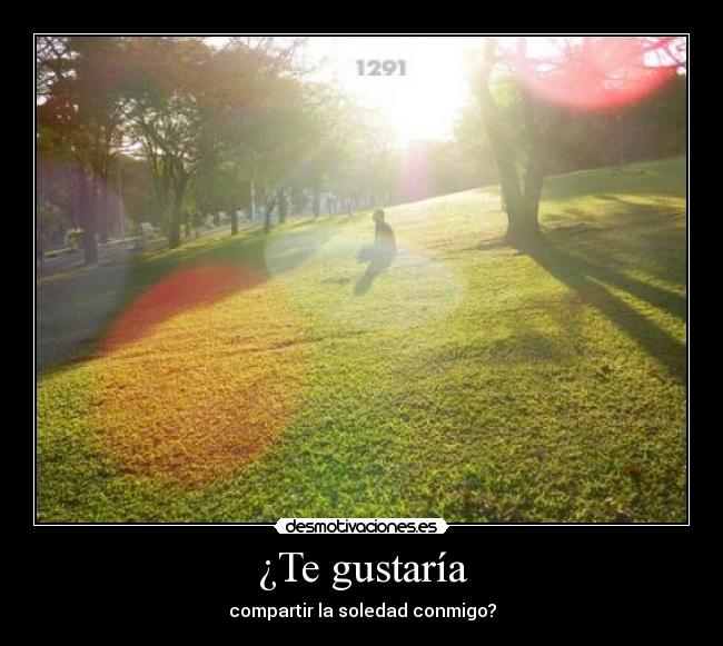 carteles raporhunters 1291 faep listo nwn son considera esta propuesta ewe xdd okno 0o0 desmotivaciones