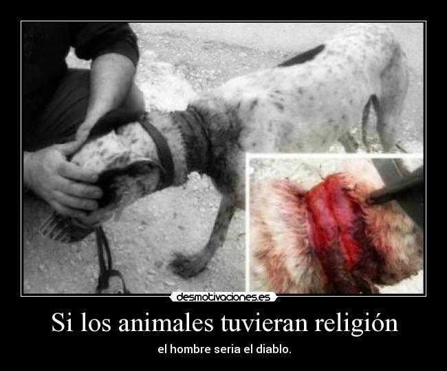 Si los animales tuvieran religión - 