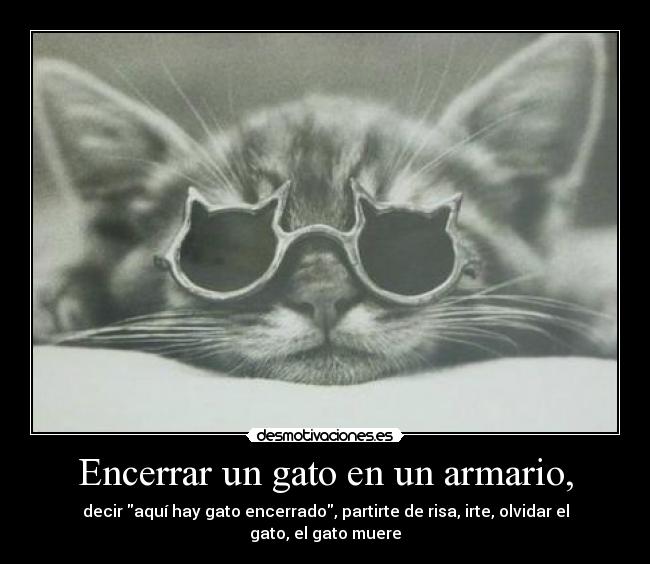 Encerrar un gato en un armario, - 