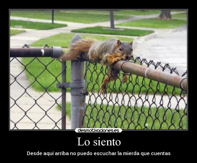 carteles las ardillas molan desmotivaciones