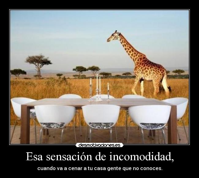 carteles que valen los lujos que vale fama cuando cae noche arrodillo cama desmotivaciones