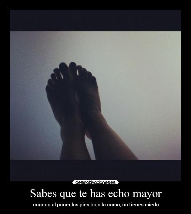 carteles jjjj desmotivaciones