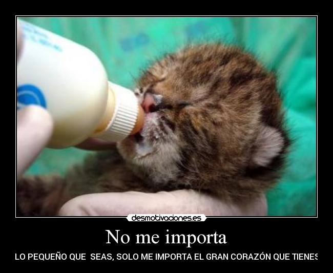 carteles importa corazon llegar ser pequeno grande desmotivaciones