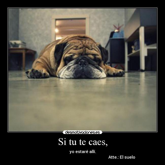 Si tu te caes, - yo estaré allí.
                                                                             Atte.: El suelo