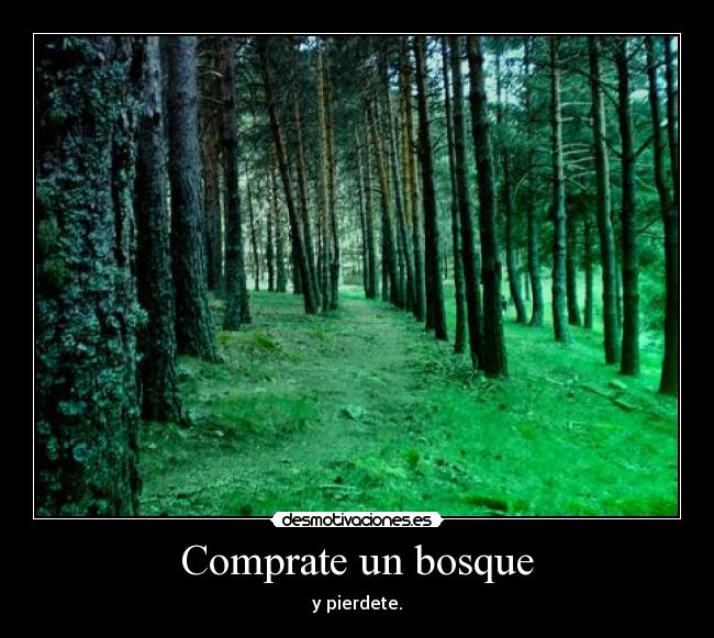 Comprate un bosque - 