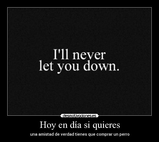 Hoy en día si quieres - una amistad de verdad tienes que comprar un perro