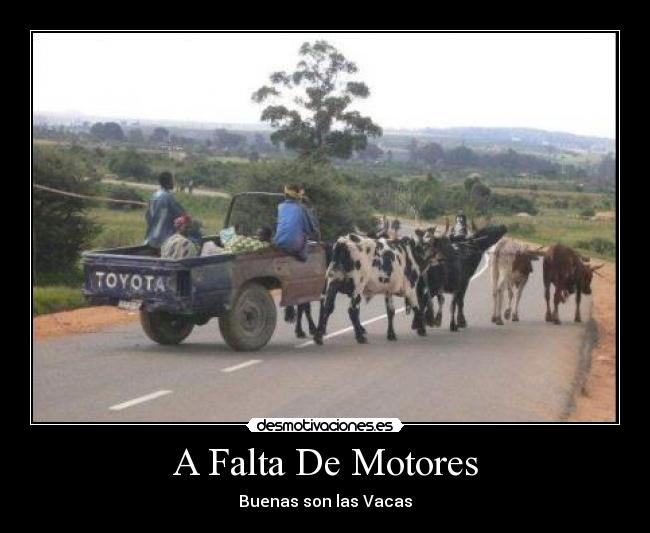 A Falta De Motores - Buenas son las Vacas