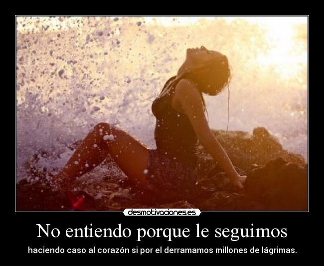 No entiendo porque le seguimos - haciendo caso al corazón si por el derramamos millones de lágrimas.