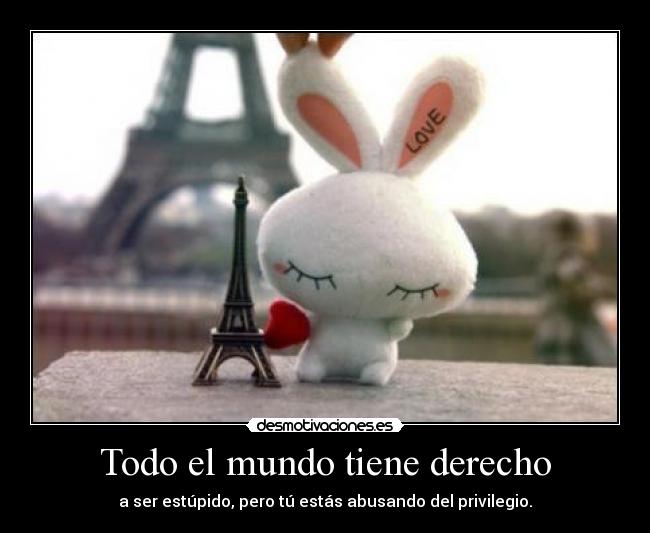 Todo el mundo tiene derecho - a ser estúpido, pero tú estás abusando del privilegio.