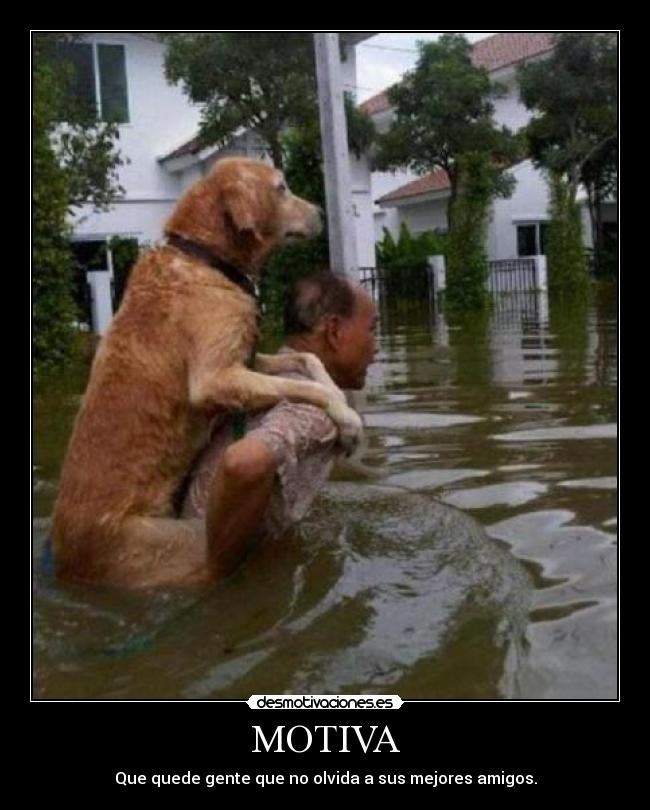 MOTIVA -