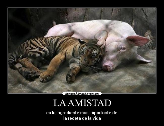 LA AMISTAD - 