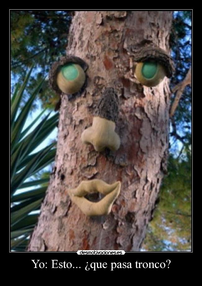 Yo: Esto... ¿que pasa tronco? - 