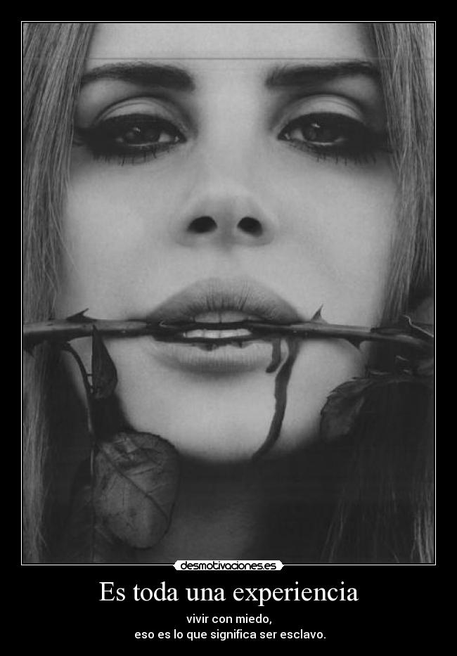 Es toda una experiencia - vivir con miedo,
eso es lo que significa ser esclavo.