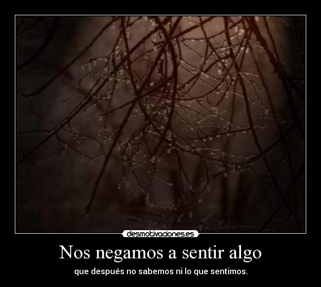 Nos negamos a sentir algo - que después no sabemos ni lo que sentimos.
