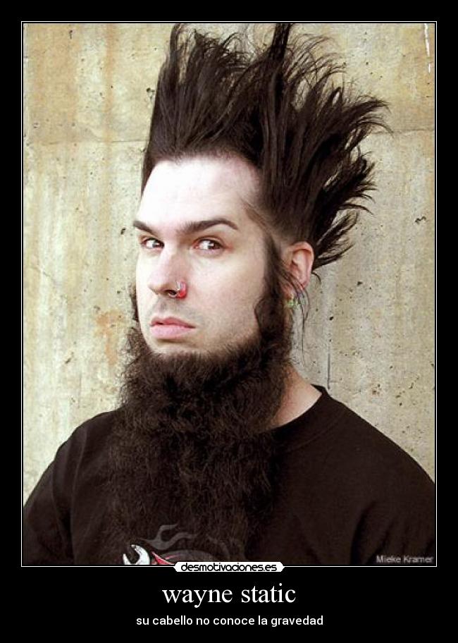 wayne static - su cabello no conoce la gravedad