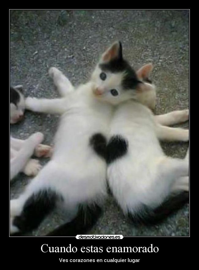 Cuando estas enamorado -