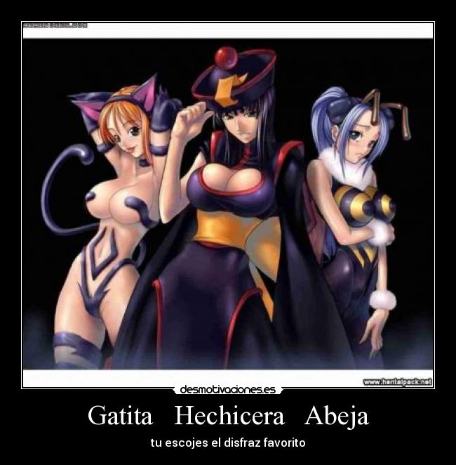 Gatita   Hechicera   Abeja - 