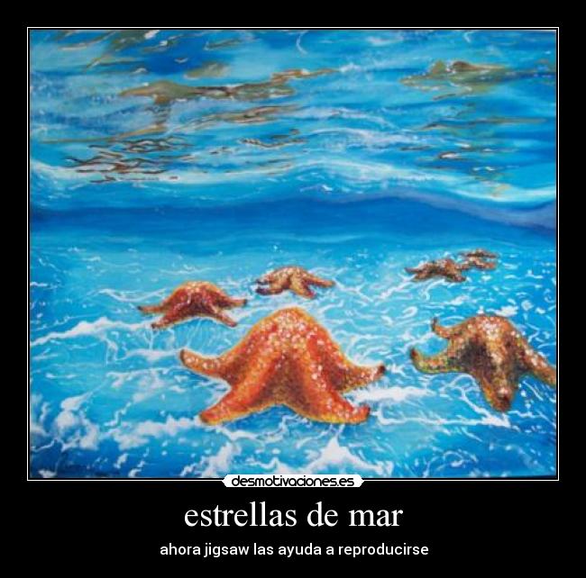 carteles desmotivaciones