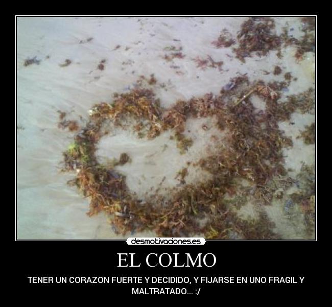 EL COLMO -