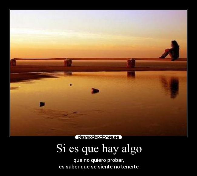 carteles tengo miedo las aranas pero por entraria nido ellas porque mas temo perderte desmotivaciones