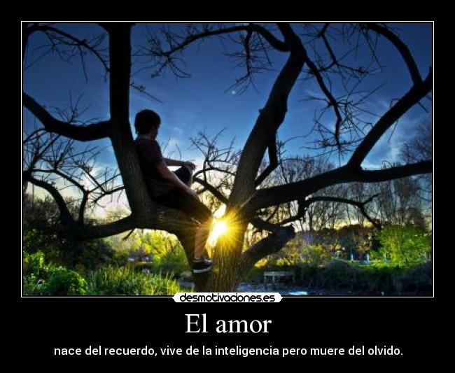 El amor - 